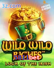 5811bet slot wild wild riches